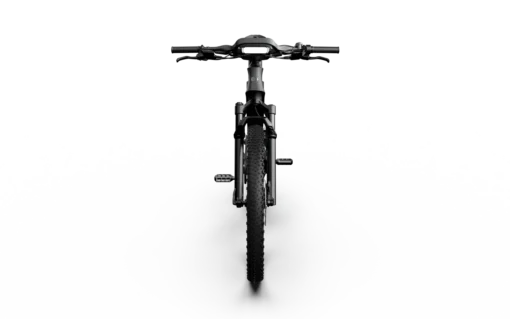 Rallye Edition 750 Electric Bike